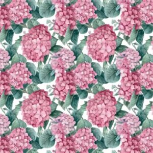 Devonstone - Nora's Nursery - Hydrangea